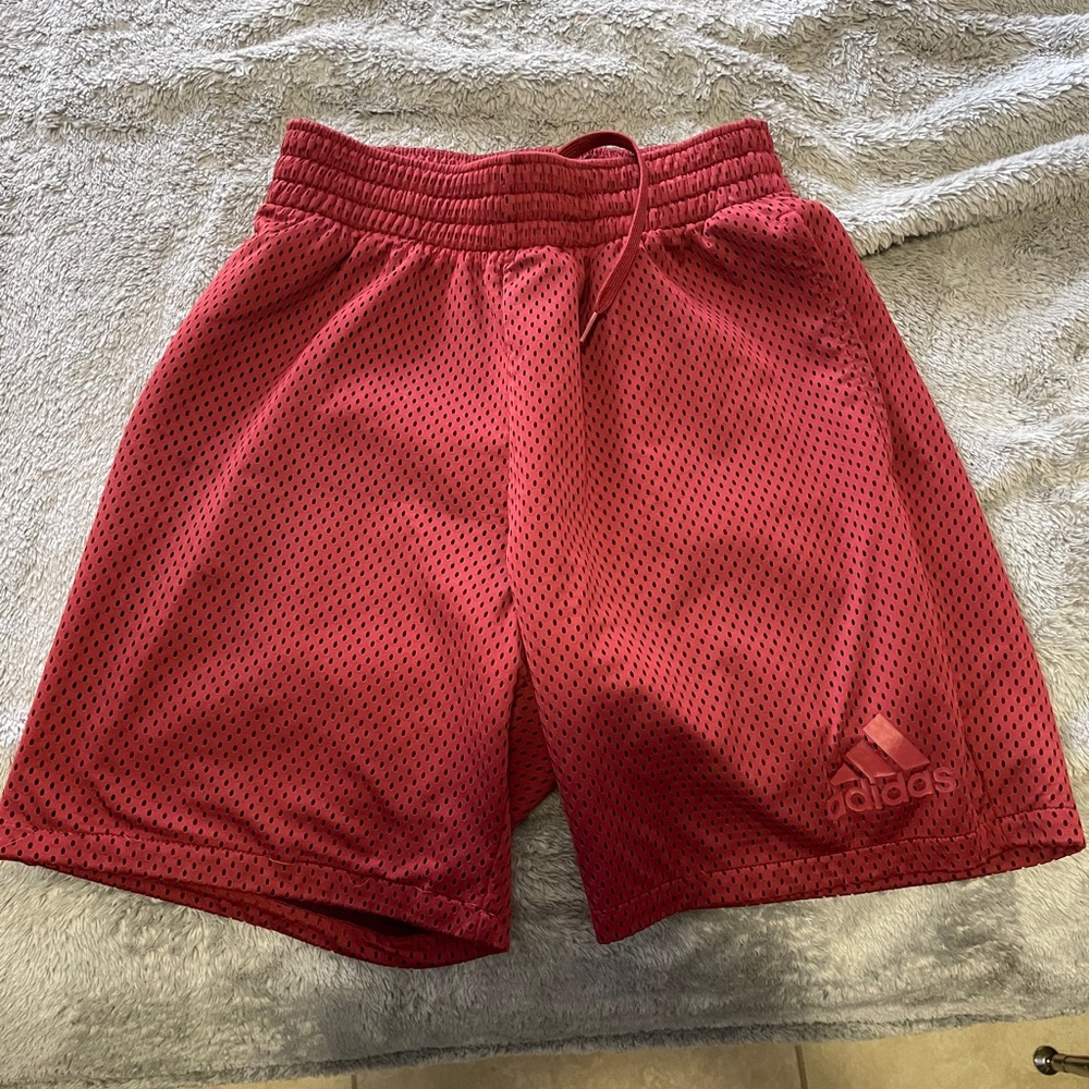 Adidas Shorts